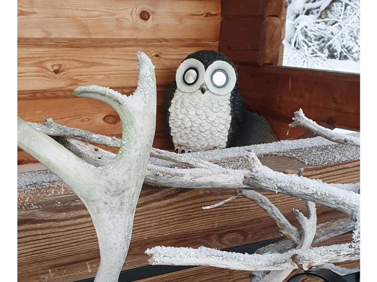 Дома для отпуска Holiday Home Pikkupöllö Кааресуванто-24