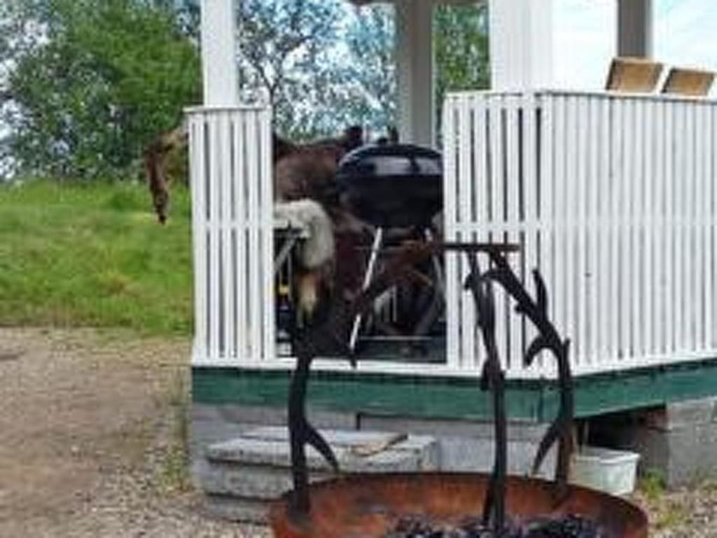Дома для отпуска Holiday Home Pikkupöllö Кааресуванто-37